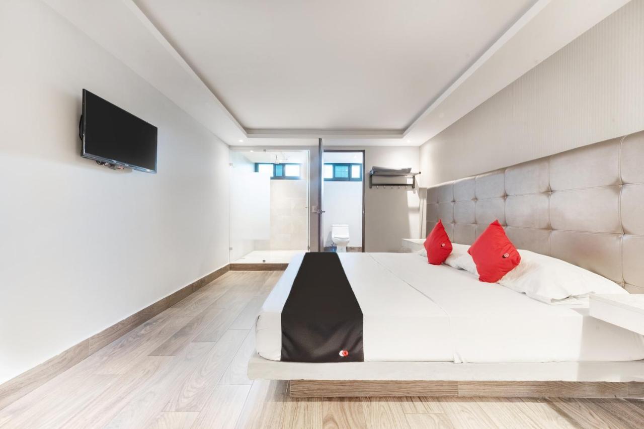 Hotel 202 Monterrey Eksteriør bilde