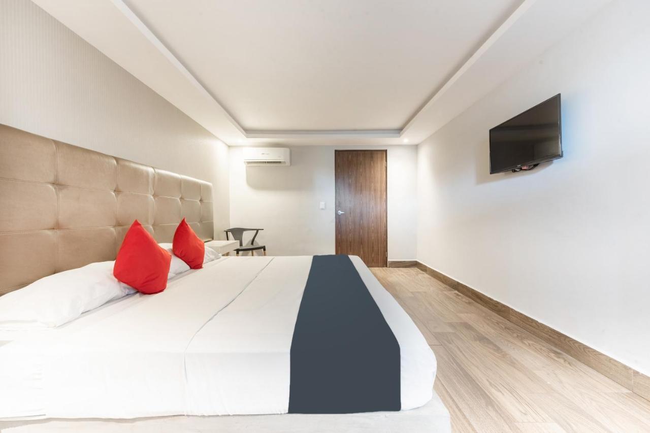 Hotel 202 Monterrey Eksteriør bilde