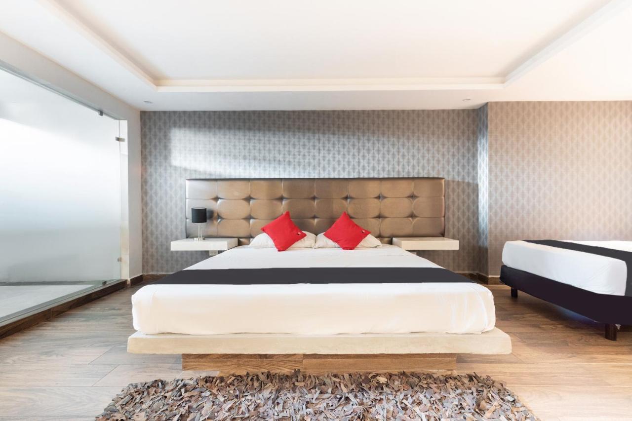 Hotel 202 Monterrey Eksteriør bilde