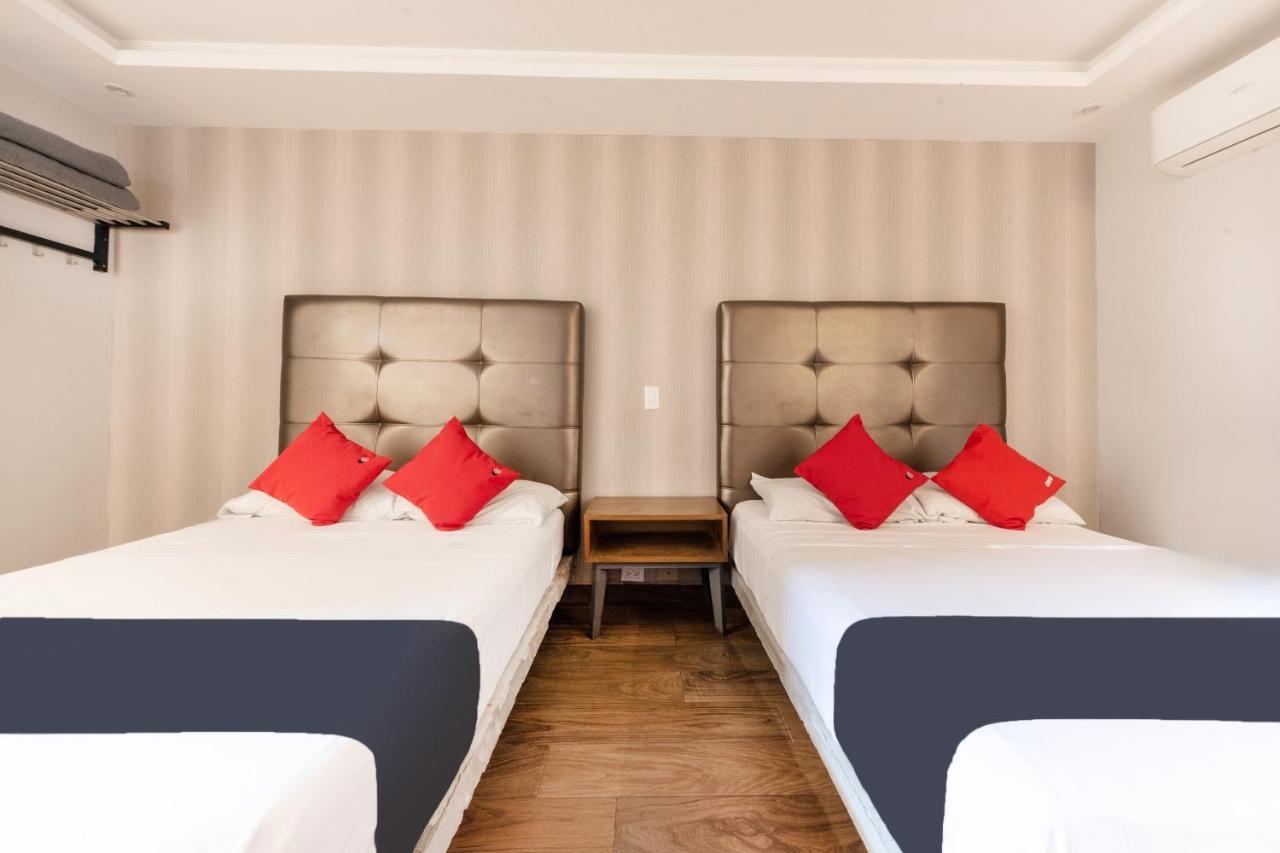 Hotel 202 Monterrey Eksteriør bilde