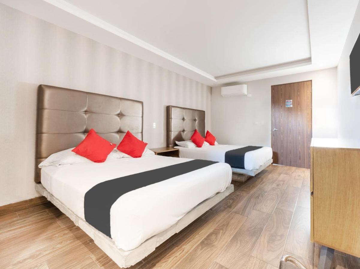 Hotel 202 Monterrey Eksteriør bilde