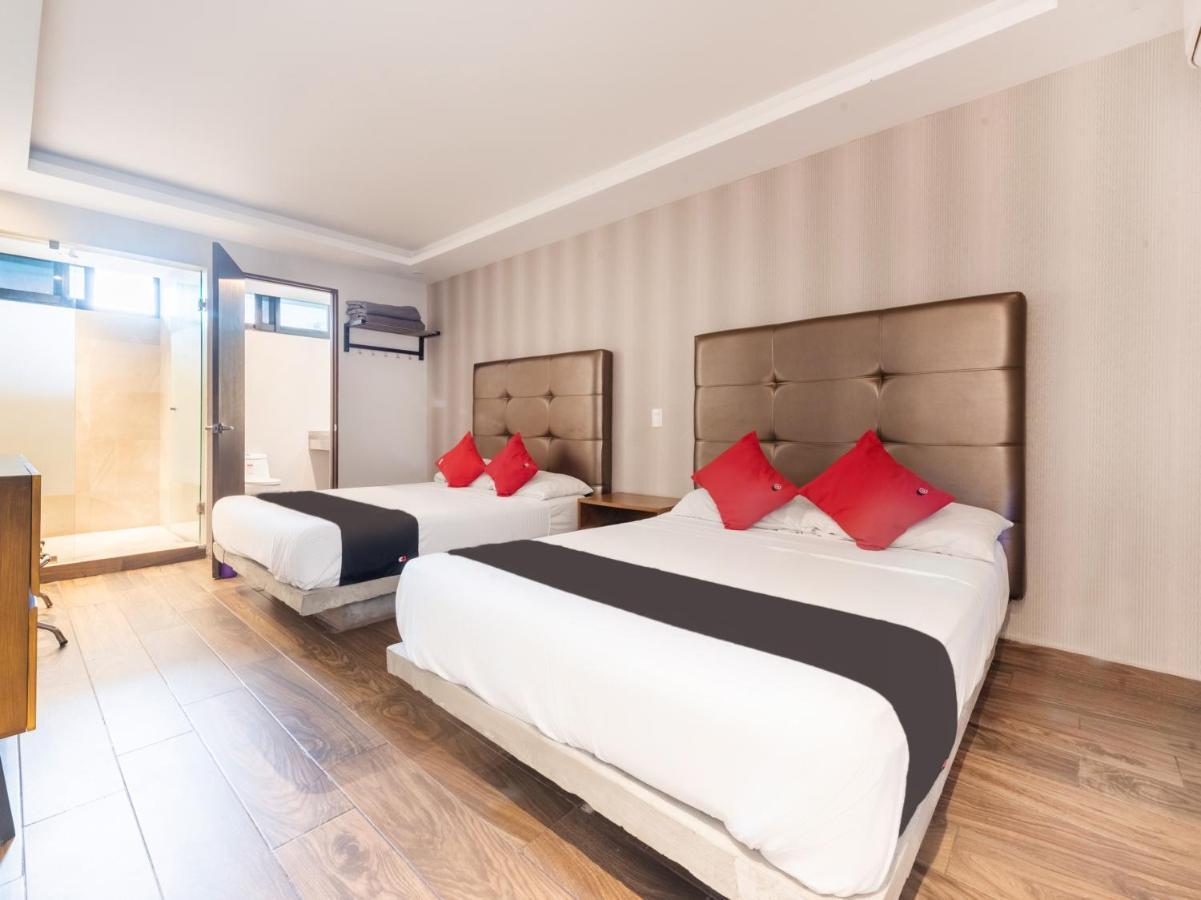 Hotel 202 Monterrey Eksteriør bilde