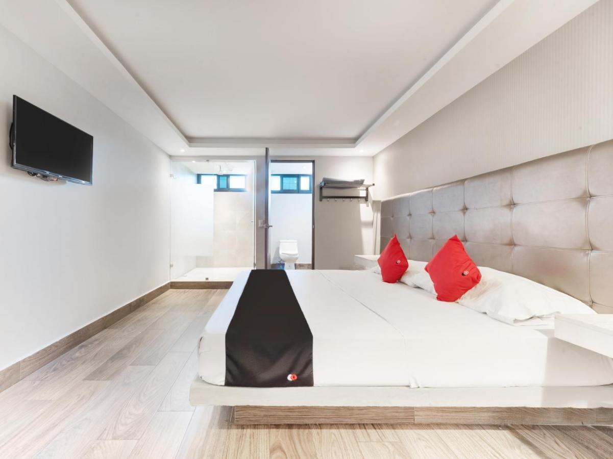 Hotel 202 Monterrey Eksteriør bilde