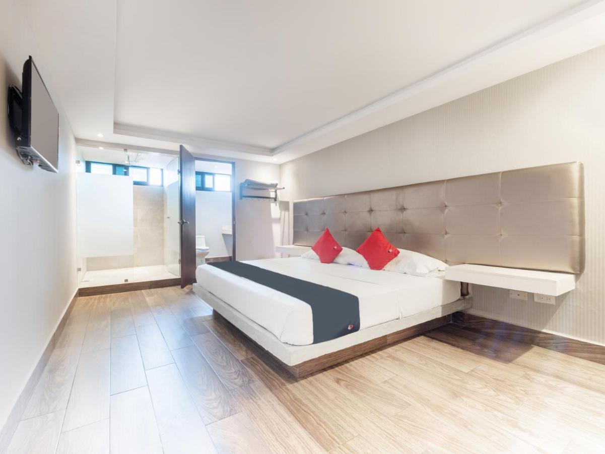 Hotel 202 Monterrey Eksteriør bilde